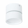 ST651.532.09 Светильник потолочный поворотный Белый LED 1*9W 3000K 720Lm Ra>90 120° IP20 D85xH87 170 Накладные светильники