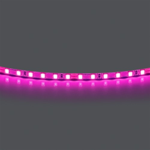 420512 Лента LIGHTSTAR LED 24V 12W 120leds/M 1600 LM/M розовый IP20 1шт = 5м