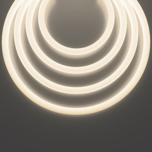 Гибкий неон Led Strip 20307