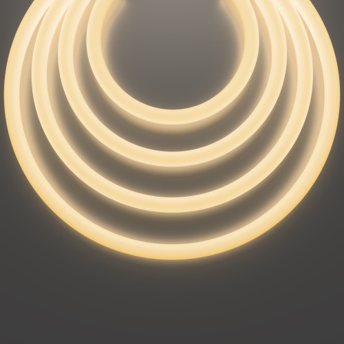 Гибкий неон Led Strip 20301