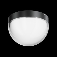 Потолочный светильник Outdoor O438CL-L12GF3K