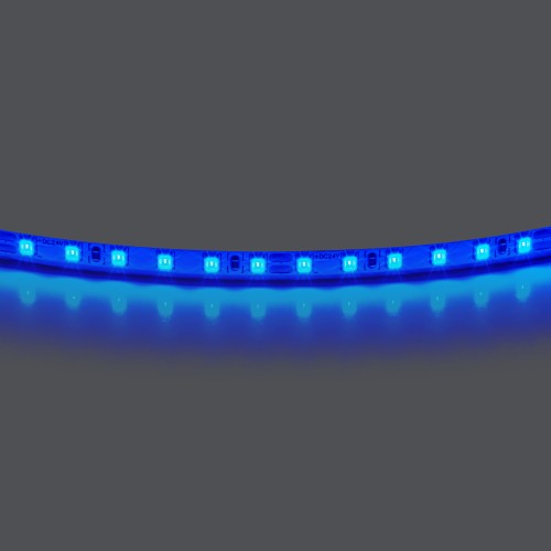 420515 Лента LIGHTSTAR LED 24V 12W 120leds/M 1600 LM/M синий IP20 1шт = 5м