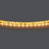 420553 Лента LIGHTSTAR LED 24V 12W 120leds/M 1500LM/M 3000K IP65 1шт = 5м