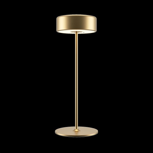 Аккумуляторный светильник Maytoni MOD229TL-L3G3K2