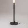 Напольный светильник (торшер) Maytoni Z012FL-L18B3K