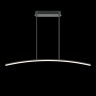 Подвесной светильник Maytoni MOD243PL-L18BK