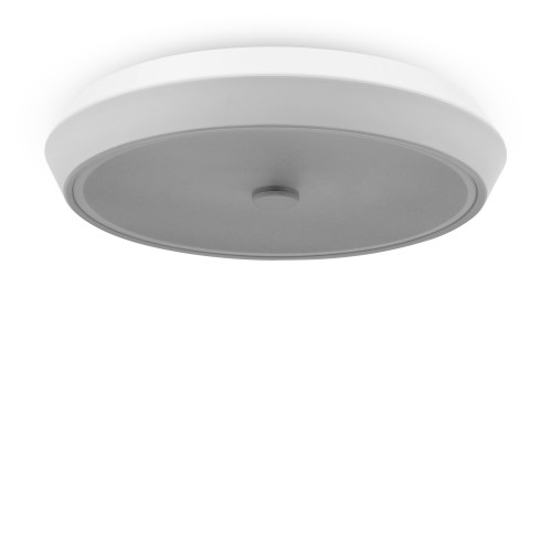 Потолочный светильник Freya FR10012CL-L24W